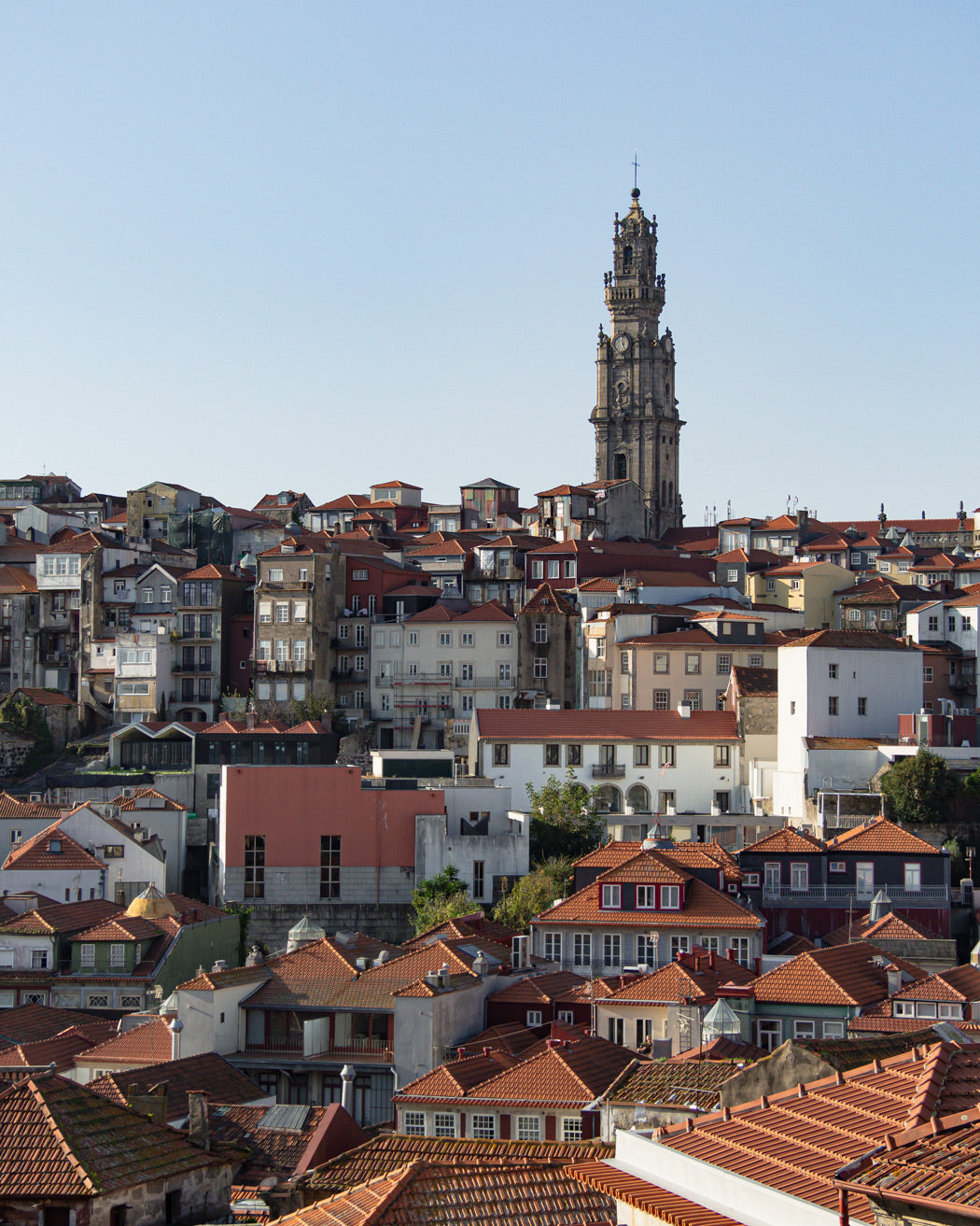 Porto New Edition (printed) Spanish version