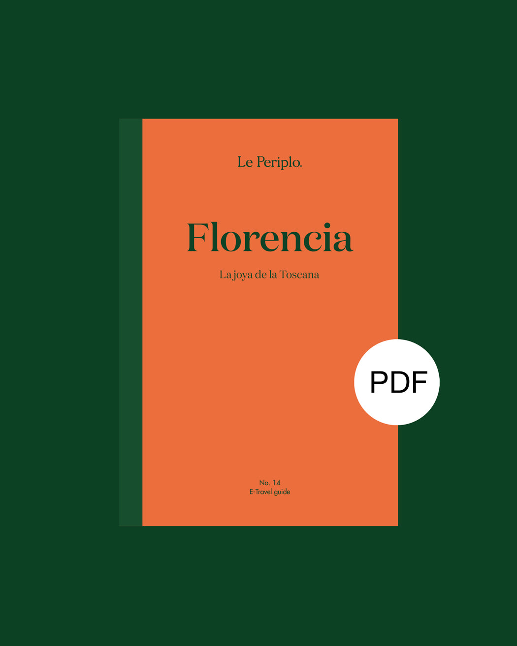 Florence travel guide (printed)